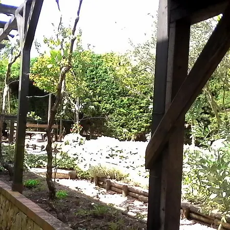 Gospodarstwo wiejskie Casal Da Archeira *